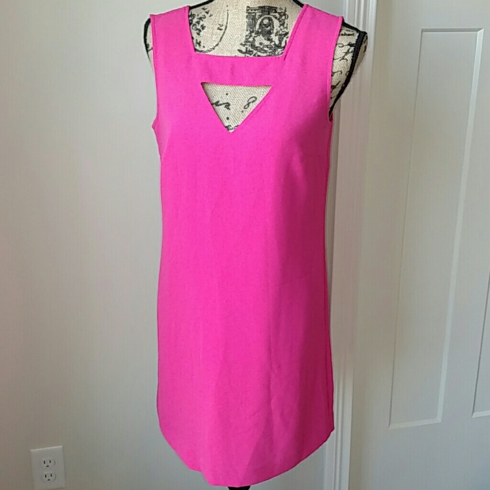 Banana Republic Pink Dress 6